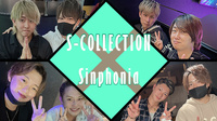 S-COLLECTION×Sinphonia 合同営業