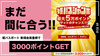 まだ間に合う!!新規会員登録で3000ポイントGETの姫パスジャンボが開催中!!