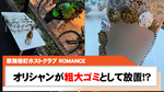 【ROMANCE】寮の前でオリシャンが粗大ゴミに!?