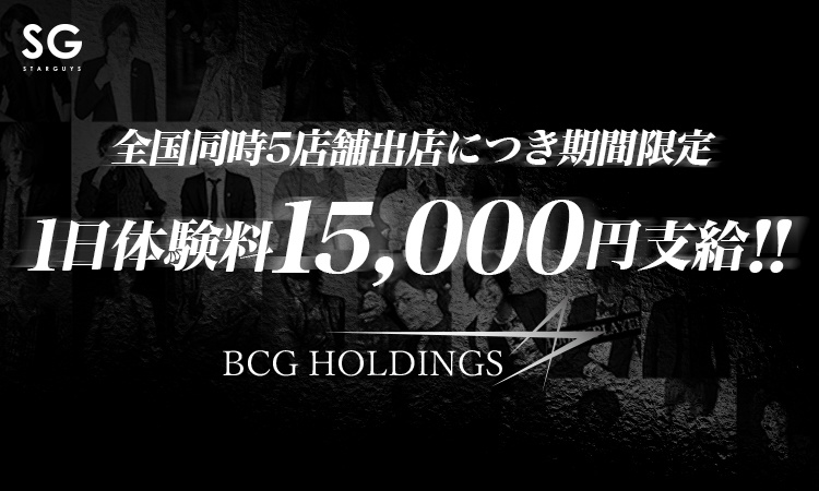 BCG HOLDINGS